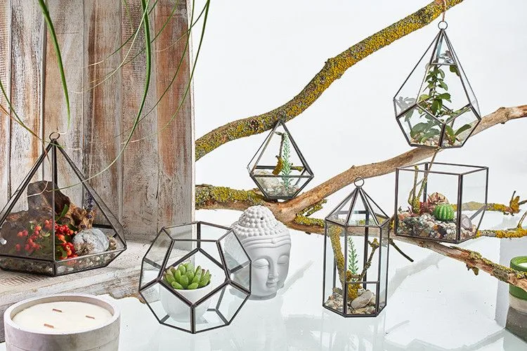 Glass Terrarium Cube on Corner — foto 3