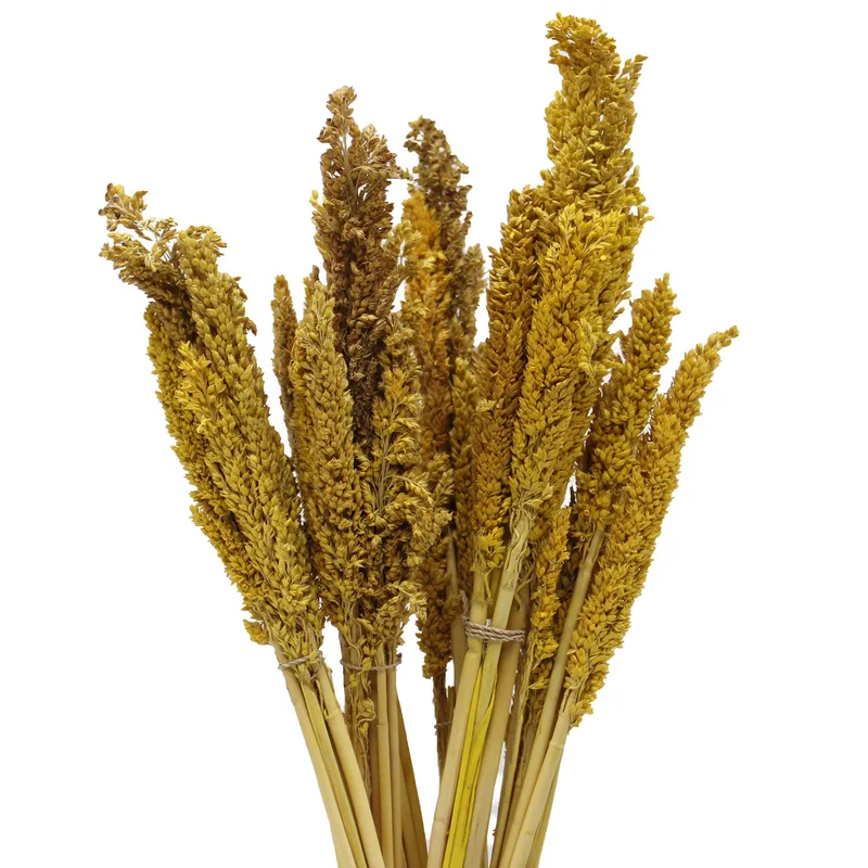 Cantal Grass Bunch Ambra — foto 5