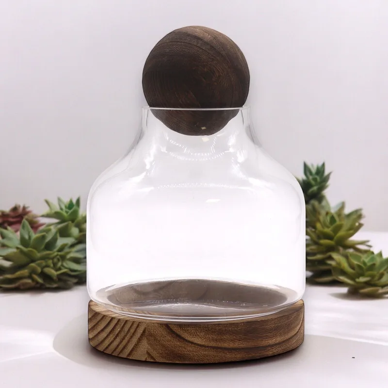 Medium Ball Top Terarium on Dark Tung Legno 17x22cm