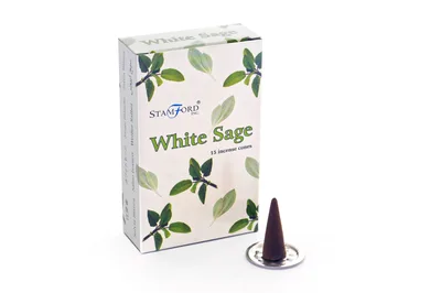 Bianco Sage Cones