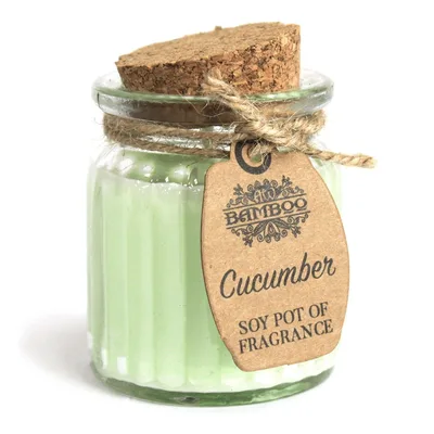 Cucumber Soy Pot of Profumo Candele