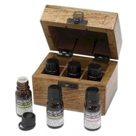 Top 6 Essenziale Oils Aromatherapy Scatola