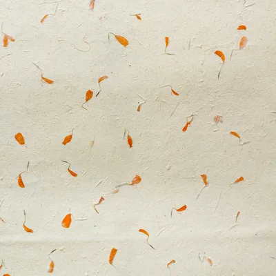 Lokta Craft / Wrapping Paper Marigold — foto 3