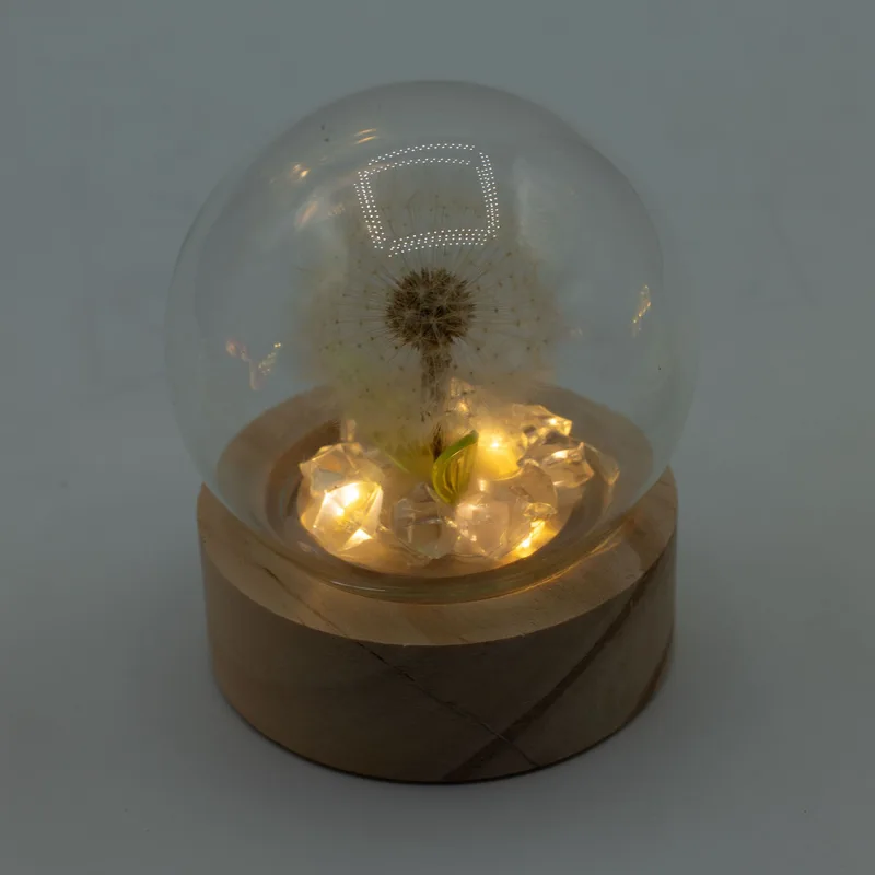 Floral Glow Garden Dome - 1 Dandilion- LED Battery — foto 3
