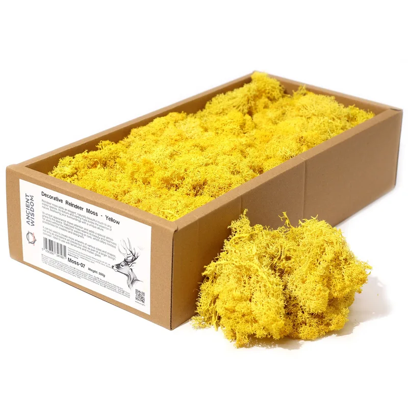 Quality Decoration Reindeer Moss Yellow 635g Scatola