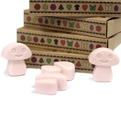 Gift Set of 6 Cera Melts - Old Ginger — foto 4