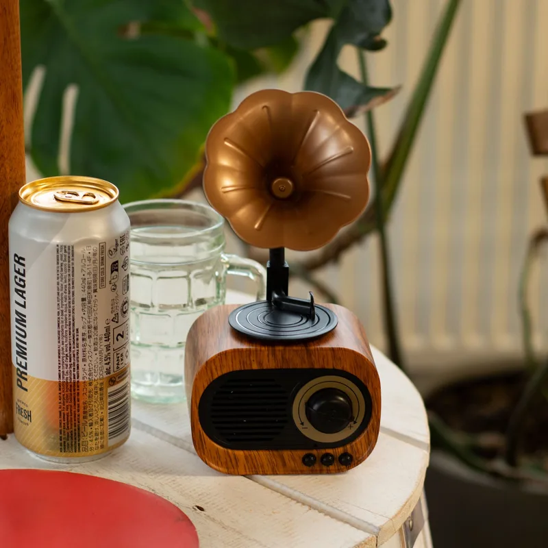 Retro Mini Gramophone Speaker Bluetooth & FM Radio 5 watt x 1 — foto 1