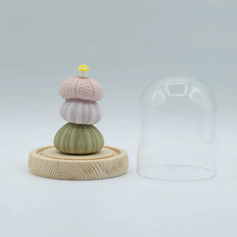 Floral Glow Garden Dome 3 Sea Urchins LED USB — foto 2