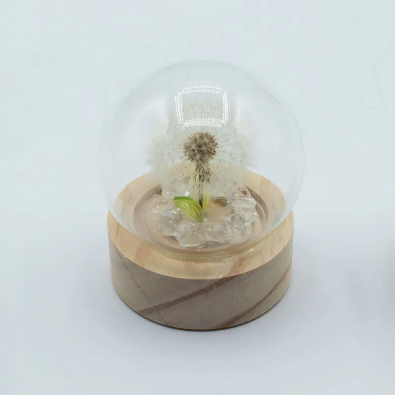 Floral Glow Garden Dome - 1 Dandilion- LED Battery — foto 1