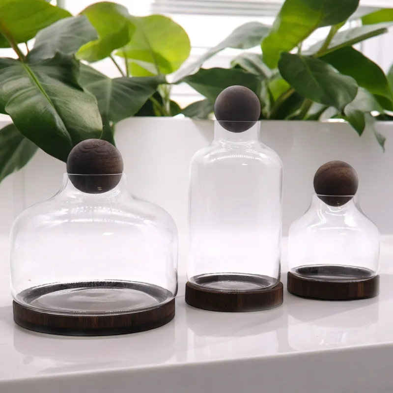 Medium Ball Top Terarium on Dark Tung Legno 17x22cm — foto 2