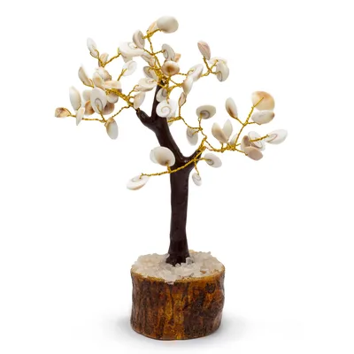Lrg Gomati Chakra Circle Stone Trees - — foto 3