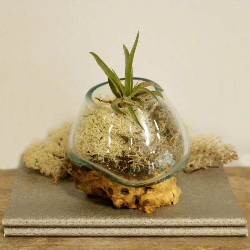 Molten Glass on Legno Small Bowl — foto 4