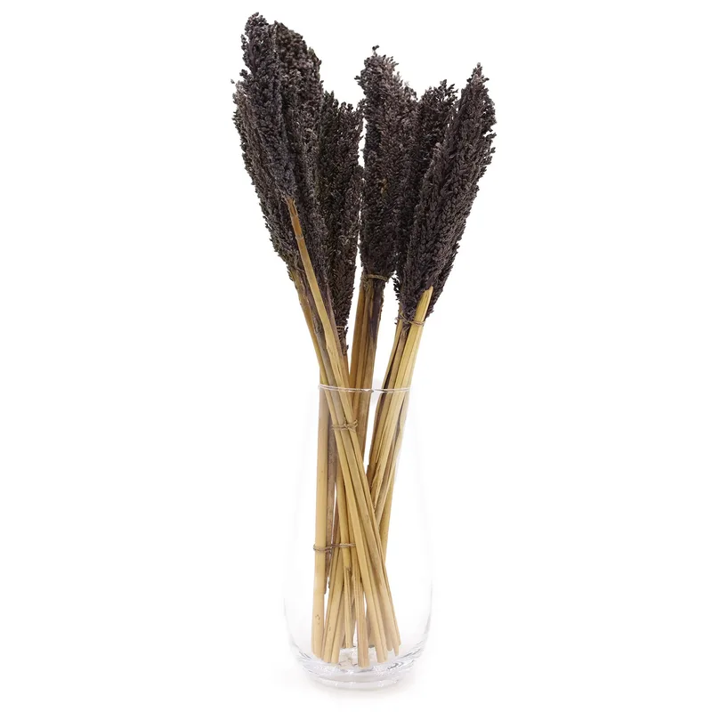 Cantal Grass Bunch Nero — foto 1