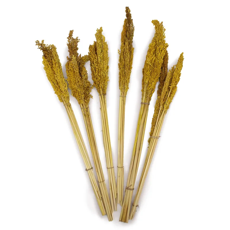 Cantal Grass Bunch Ambra — foto 2