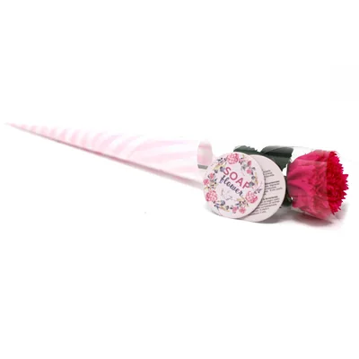 Ready to Retail Sapone Fiore - Small Carnation