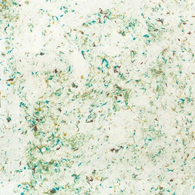 Lokta Craft & Wrapping Paper 51x76cm – Verde Cotton — foto 4