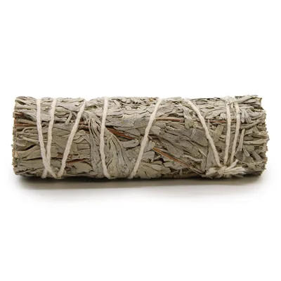 Smudge Stick - Blu Sage 10 cm — foto 1