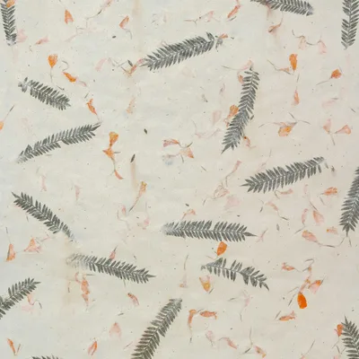 Lokta Craft & Wrapping Paper 51x76cm - Grass