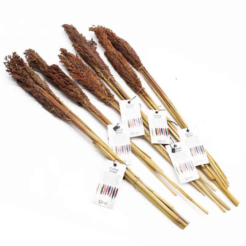 Cantal Grass Bunch Chocolate — foto 3