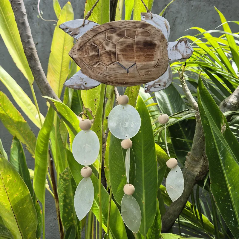 Whitewash Turtle Carving and Naturale Copis Drop — foto 4
