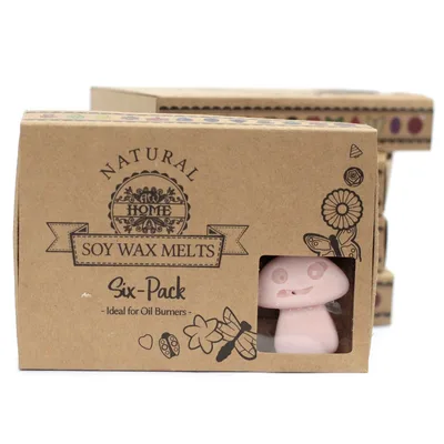 Gift Set of 6 Cera Melts - Old Ginger — foto 2