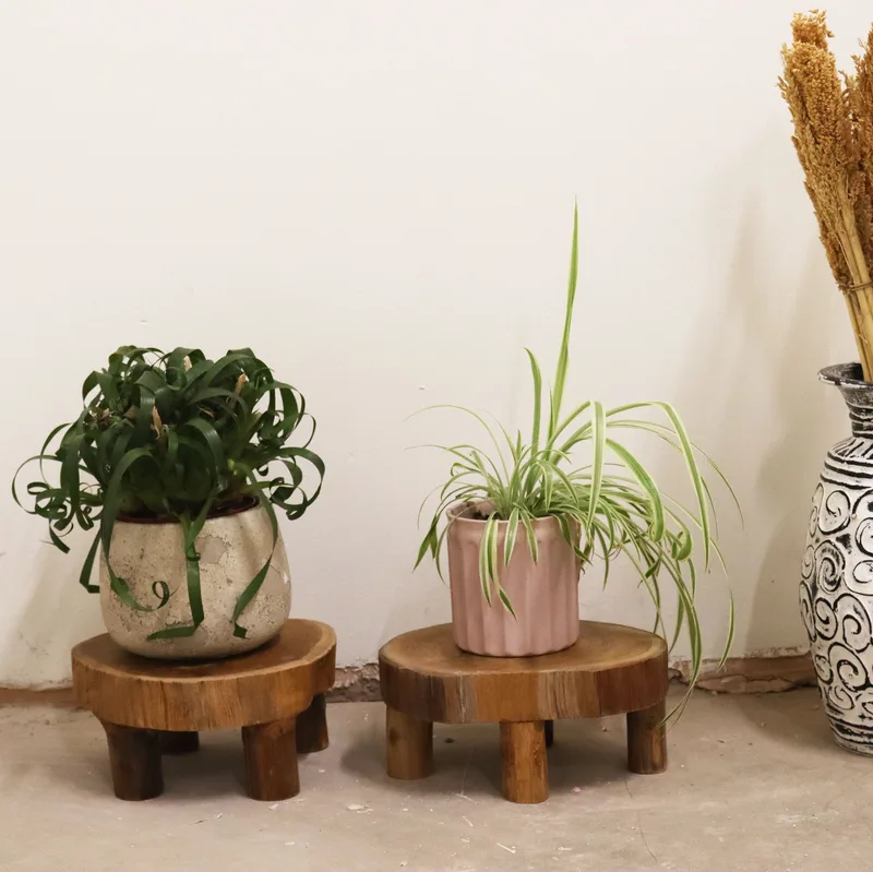 Low Teak Pad Display 24x10cm — foto 1