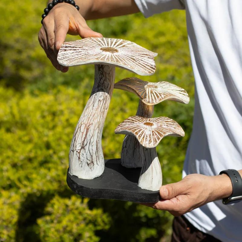Medium Golden Mushroom Art 25cm Whitewash — foto 2