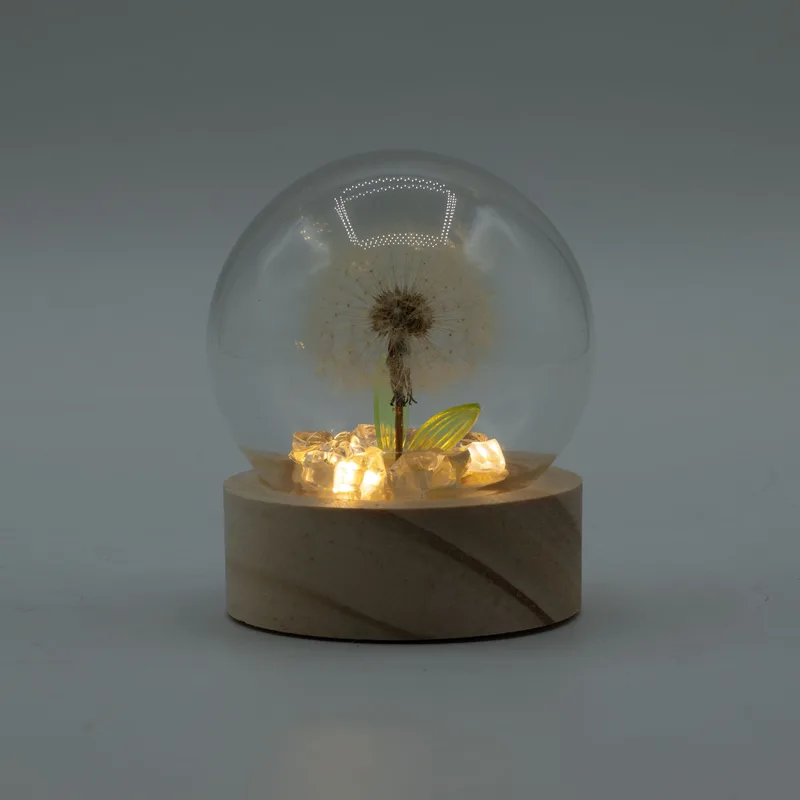 Floral Glow Garden Dome - 1 Dandilion- LED Battery — foto 2