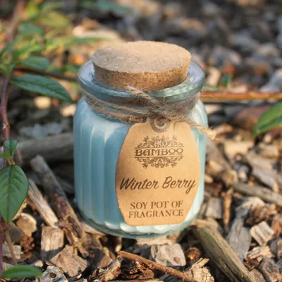 Winter Berry Soy Pot of Profumo Candele — foto 1