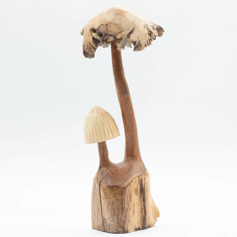 Fatto a mano Parasite Legno Art Carving Set of Two Mushoorms — foto 4