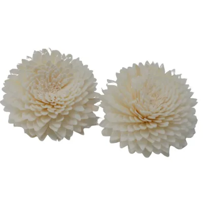 Naturale Diffusore Fiori - Lrg Carnation on String — foto 2