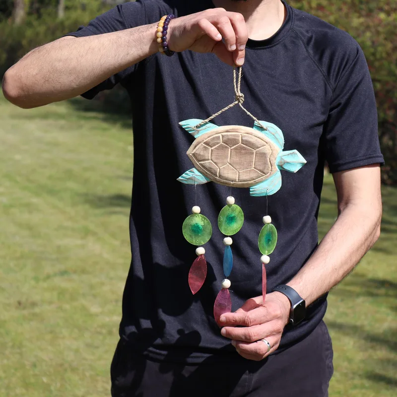 Aqua Turtle Carving and Copis Drop — foto 1