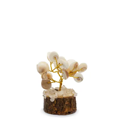 Small Gomati Chakra Circle Stone Trees- — foto 3