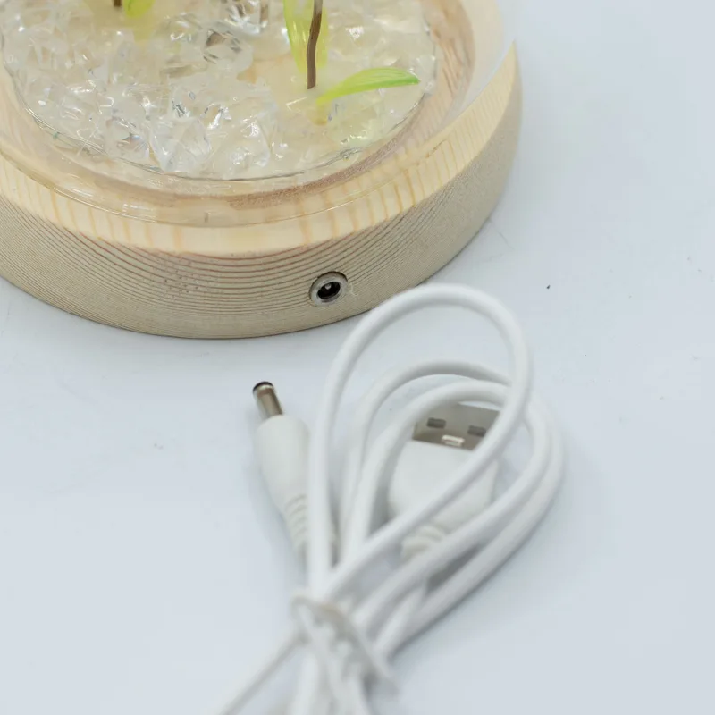 Floral Glow Garden Dome 2 Dandelions LED USB — foto 3
