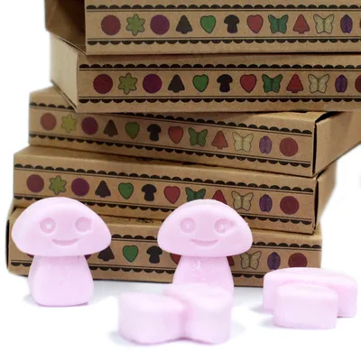 Gift Set of 6 Cera Melts - Ylang Ylang — foto 3