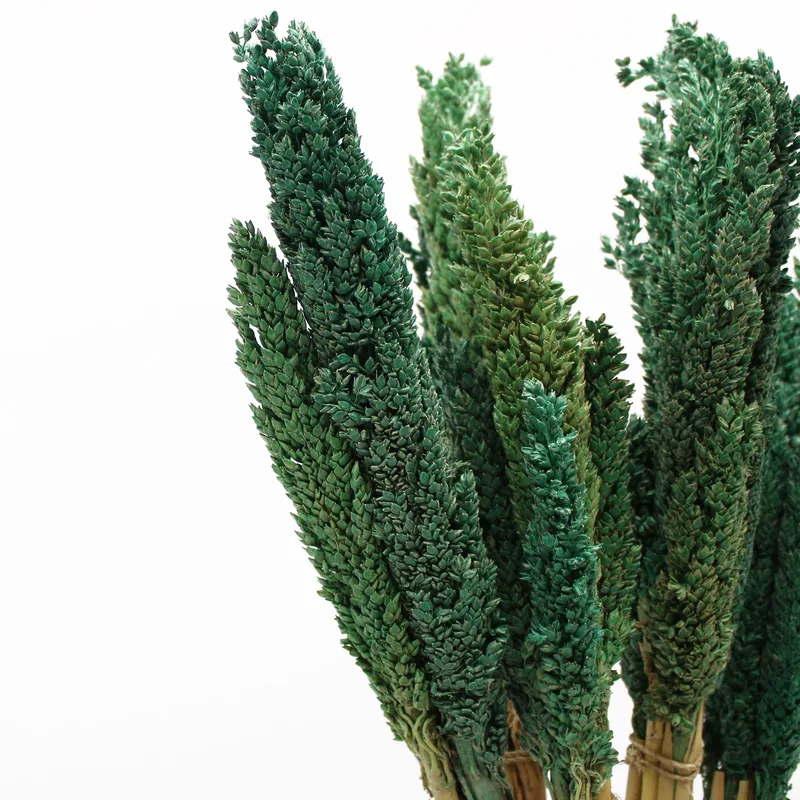 Cantal Grass Bunch Teal