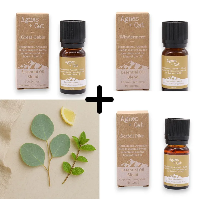 Agnes & Cat – Set "Breathe Easy" di 3 oli essenziali per miscele personalizzate — foto 4
