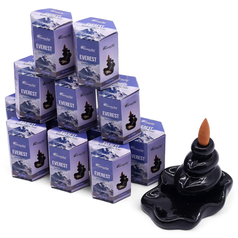 Masala Backflow Incenso pack of 10 Everest