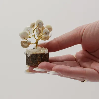 Small Gomati Chakra Circle Stone Trees-