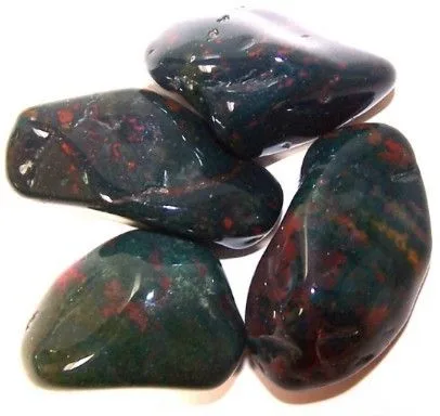 Pack of 24 Bloodstone L