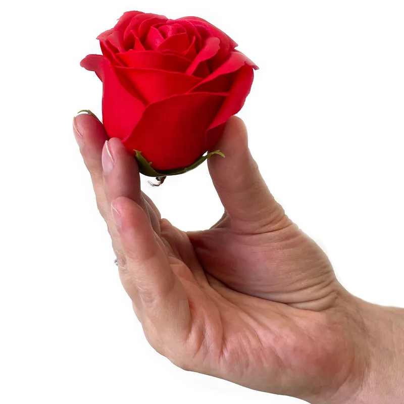 Sapone Fiore Gift Bouquet 9 Red Roses Square — foto 1