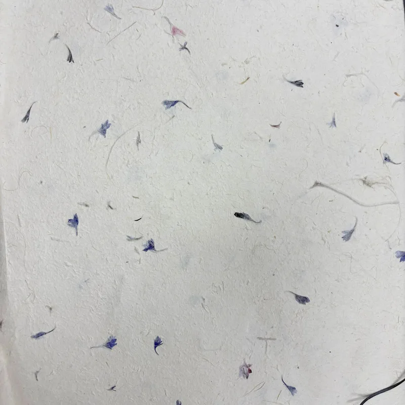 Lokta Craft & Wrapping Paper 51x76cm – Cornflower Petal