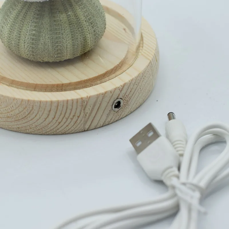 Floral Glow Garden Dome 3 Sea Urchins LED USB — foto 4