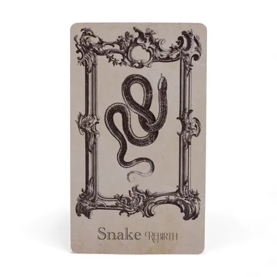 Le Carte dell'Oracolo Spellbook - Mago Deck — foto 5