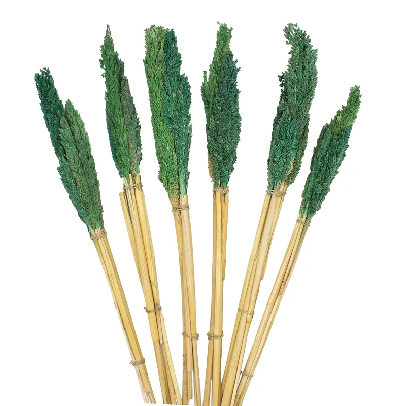 Cantal Grass Bunch Teal — foto 2
