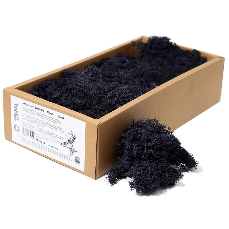 Quality Decoration Reindeer Moss Nero 635g Scatola