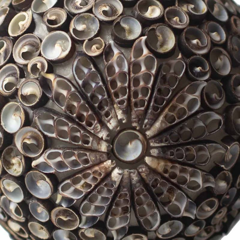 Boho Sea Shell Lamp Chocolate Twist Globe 15cm — foto 1