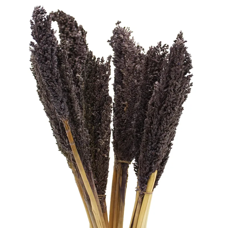 Cantal Grass Bunch Nero — foto 5