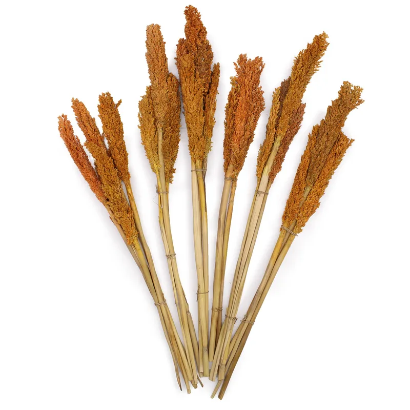 Cantal Grass Bunch Arancia — foto 2