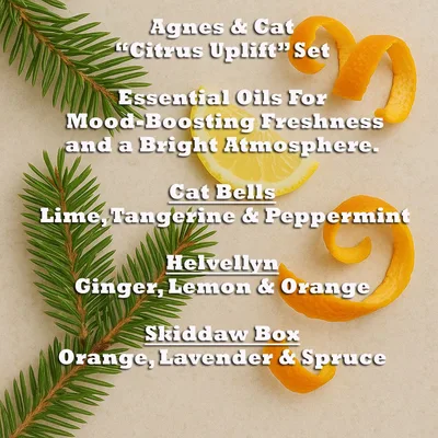 Agnes & Cat - Citrus Uplift Set Of 3 Essenziale Olio Blends — foto 4